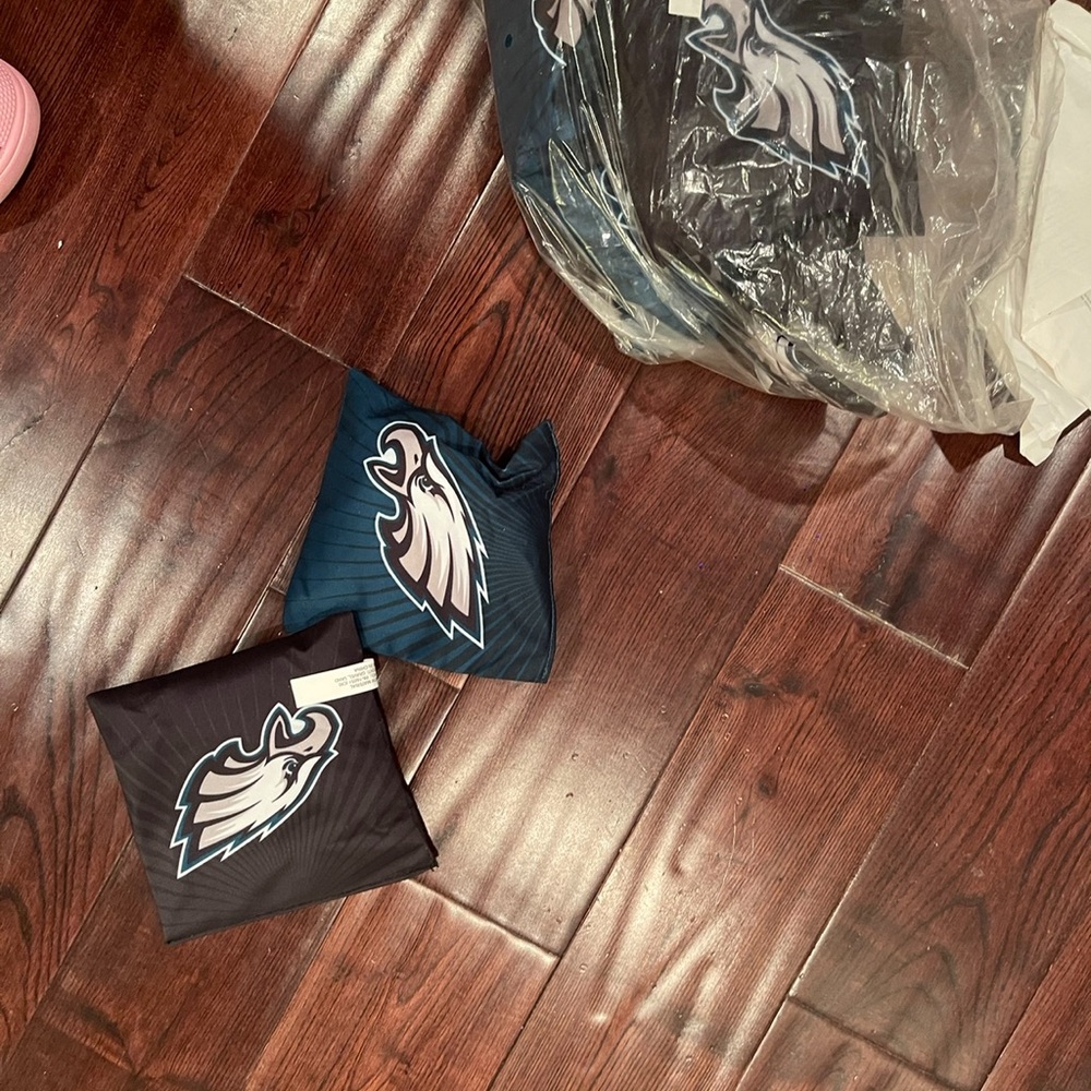 Eagles Corn Hole Bags